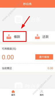 白条取现可以借 白条取现，轻松借钱的秘密武器！