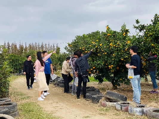 桔子分期乐可以套出来吗 桔子分期乐套现攻略大揭秘