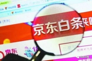 京东白条套出来出来咋分期 京东白条套出来分期攻略