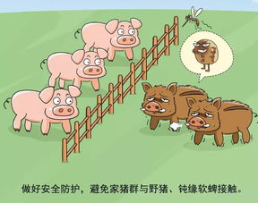 2018羊小咩便荔卡提现了 羊小咩便荔卡提现记，成功案例与操作指南