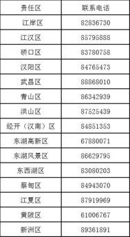 查开房网网址多少钱 揭秘查开房网网址背后的真相，价格大揭秘！