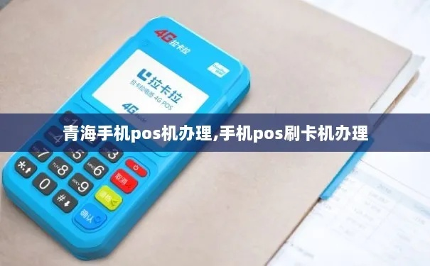 青海POS机办理指南