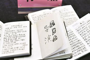 用身份证能查开房记录 揭秘用身份证查开房记录，你了解真相了吗？