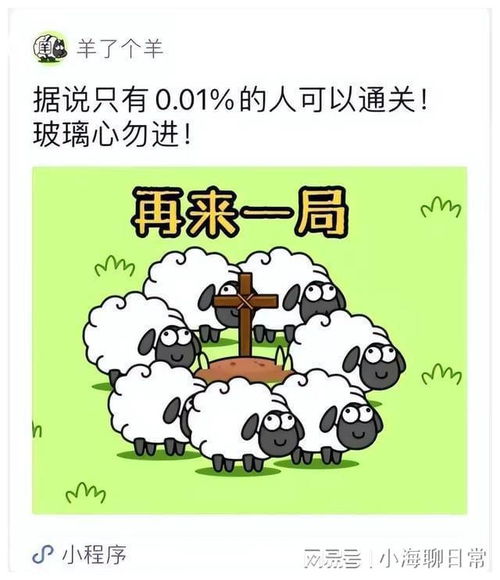 羊小咩套现人 羊小咩套现人事件分析