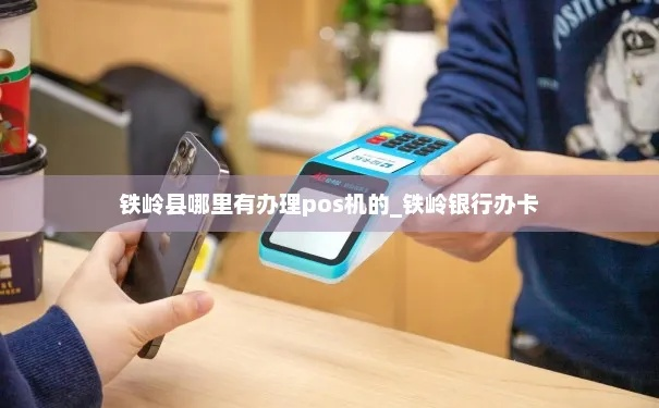 铁岭POS机办理指南，如何选择合适的POS机并完成办理流程