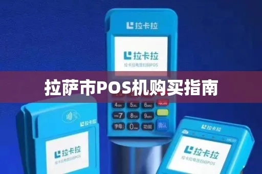 拉萨申请外币POS机指南