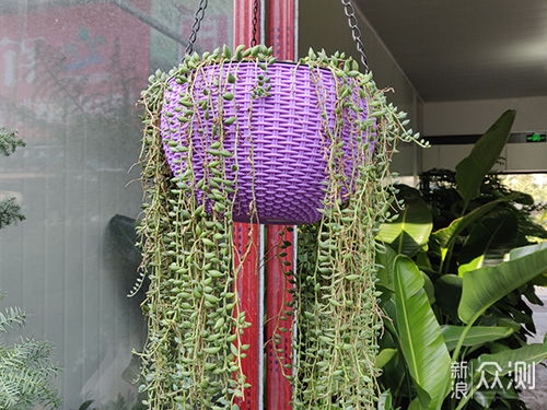 簕竹角那有白条提现的店 簕竹角那有白条提现的店
