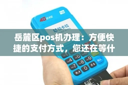 岳麓区POS机办理指南