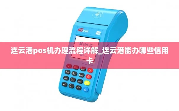 连云港POS机申请流程详解