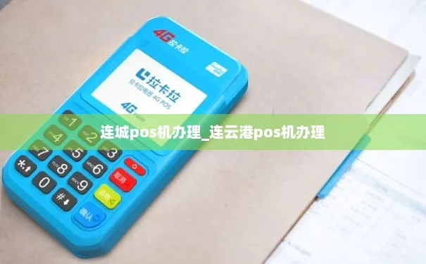 连云港POS机申请流程详解