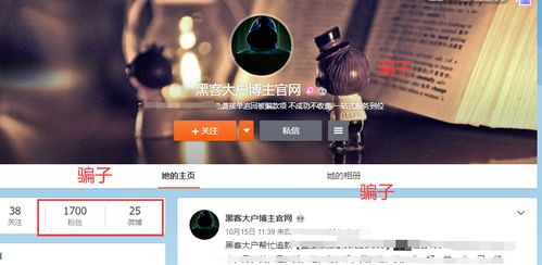 黑客真的能追回钱吗 黑客真的能追回钱吗？揭秘网络欺诈背后的真相