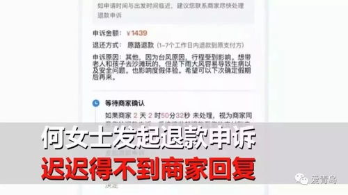 新开酒店怎么查入住记录 新开酒店怎么查入住记录，实用方法与案例解析