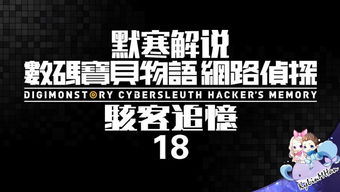 信誉黑客追款团队 揭秘信誉黑客追款团队，真相与操作实例解析