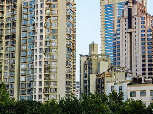 杭州查酒店住房记录查询 杭州酒店住房记录查询指南，一步步教你如何查证