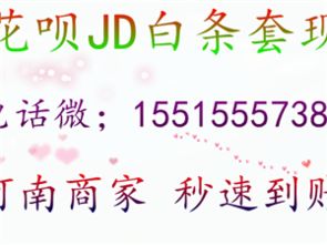 白条取现安全秒 白条取现安全秒—你的资金流转好帮手