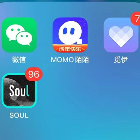 查询别人的手机陌陌聊天记录 揭秘陌陌聊天记录查询全攻略，技术手段、法律风险与防范指南