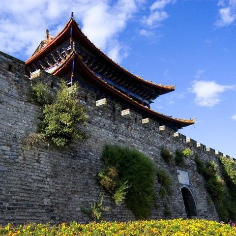 羊小咩便荔卡余额怎么提现到余额 手把手教你把羊小咩便荔卡余额提现到余额，附详细步骤和避坑指南