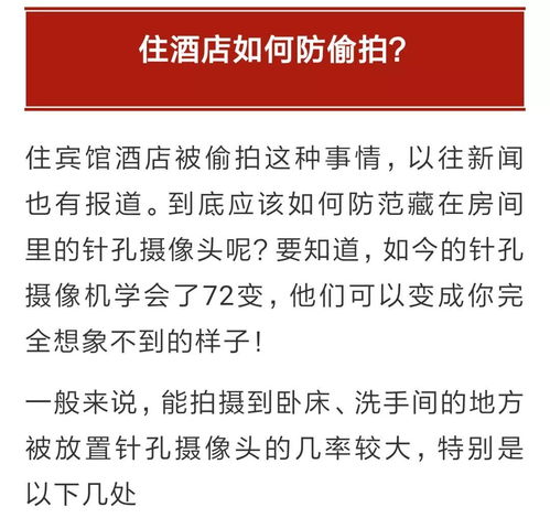 公安网查开房 公安网查开房，隐私保护与公共安全的双重挑战