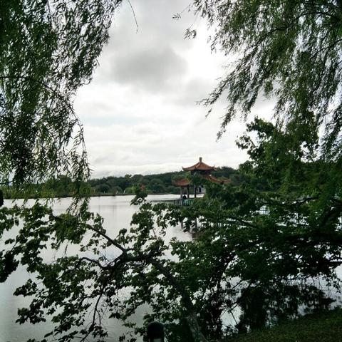 查酒店的记录 查酒店记录，轻松掌握行程细节，旅途无忧