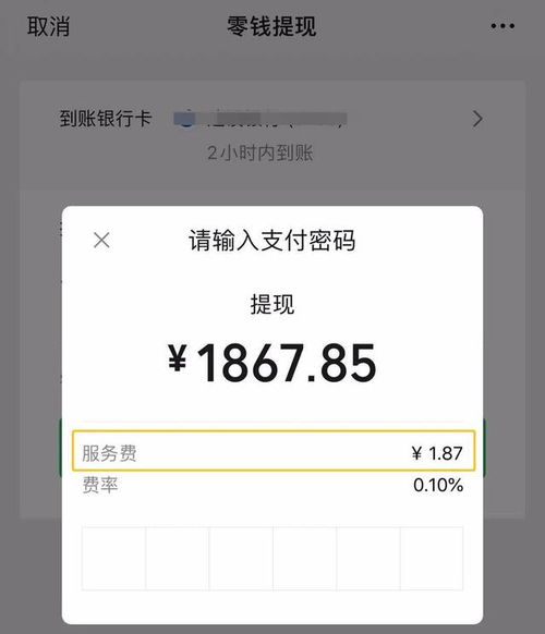 小猪微信分付怎样提现现金 小猪微信分付提现现金全攻略，一步步教你如何操作，还有实用案例告诉你！