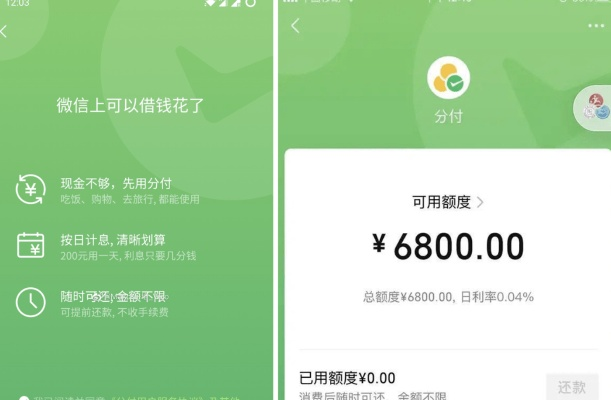 微信分付套出来闲鱼 微信分付套现至闲鱼的实用指南