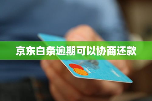 800白条可以套出来吗 关于800白条能否套出来的探讨—从实际操作到案例解析