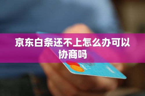 800白条可以套出来吗 关于800白条能否套出来的探讨—从实际操作到案例解析