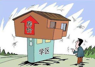 我羊小咩便荔卡被套出来 揭秘我羊小咩便荔卡的遭遇，遭遇套现经历分享