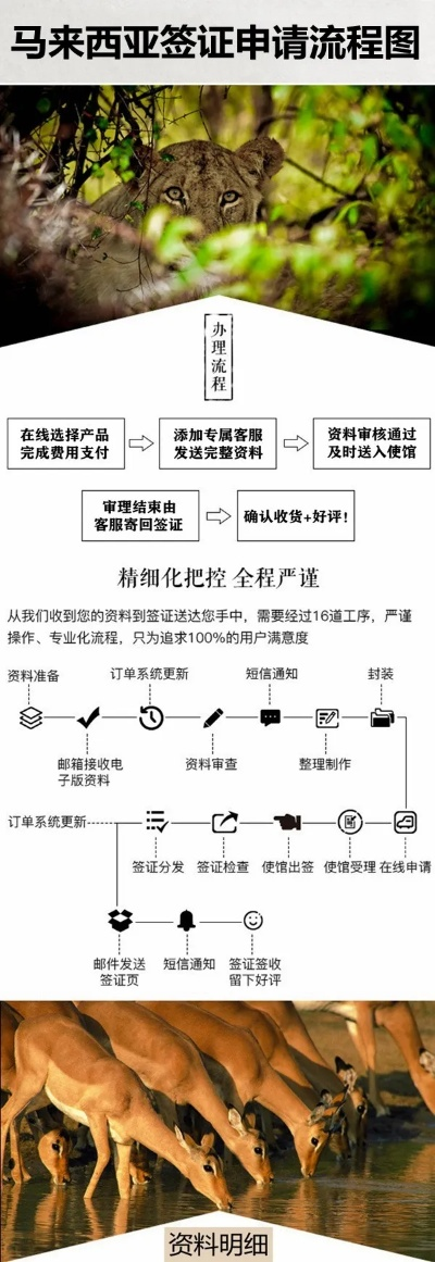 马来西亚POS机申请流程详解