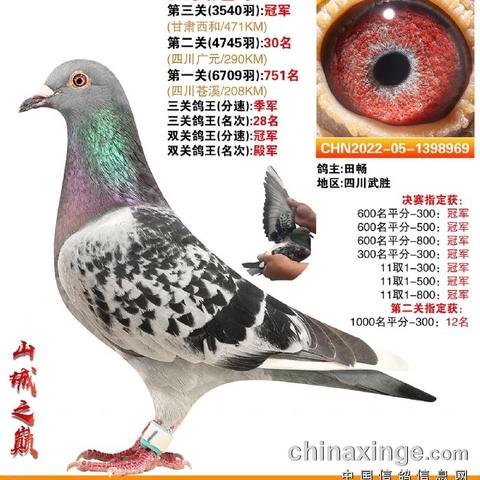 2023白条提现 2023白条提现全攻略，手把手教你安全提现，这些坑千万别踩！