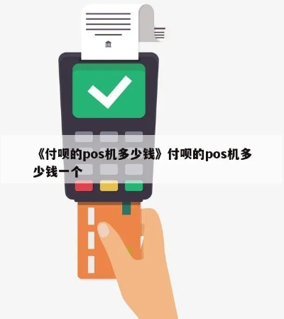 付呗POS机申请额度全攻略