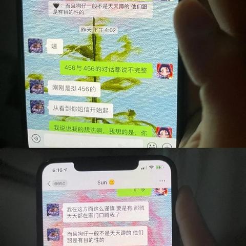 怎样查看到别人微信聊天記录，微信聊天记录查询全攻略，合法途径、风险提示与防查指南