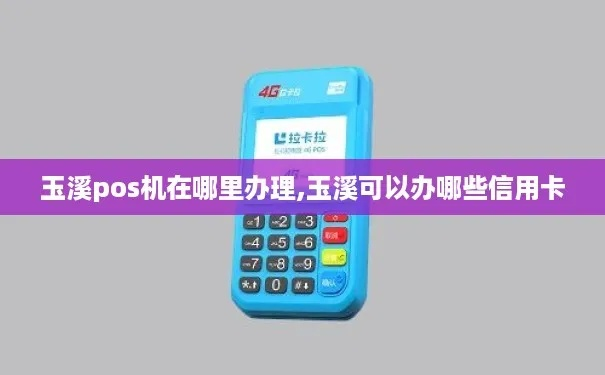 玉溪POS机办理全攻略