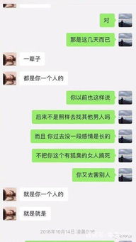 去酒店的聊天记录怎么查 揭秘酒店聊天记录查询全攻略，实用方法与案例解析