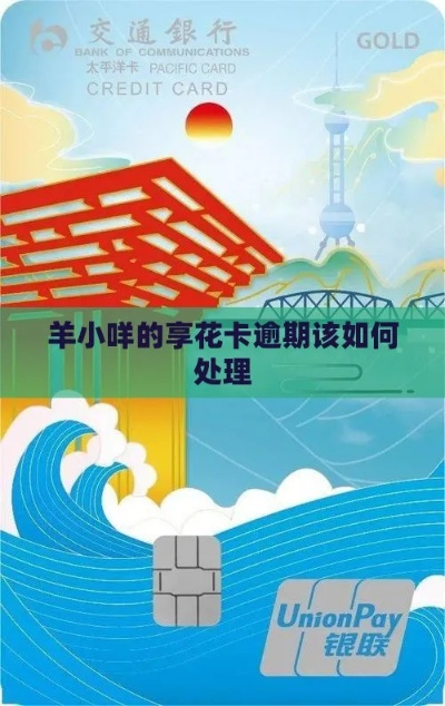 车主羊小咩享花卡在哪套出来 车主羊小咩享花卡使用指南，如何有效套出享花卡里的权益？
