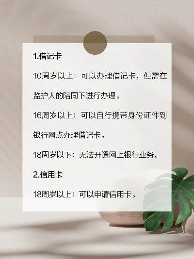POS机办理年龄标准及案例解析