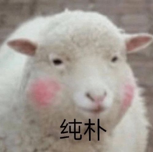 羊小咩便荔卡更新后可以提现吗 羊小咩便荔卡更新后可以提现吗？手把手教你避坑指南
