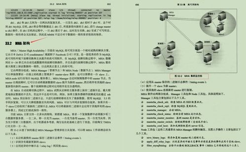 黄梅县POS机办理指南，全面解析与实用案例