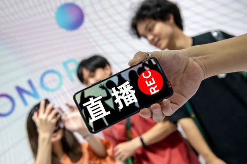 常州套出来抖音月付案件 揭秘常州抖音月付套现案，深度剖析与案例解读