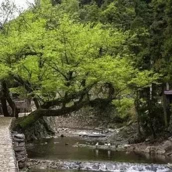 聊天記录不小心清空如何能找回？聊天记事不小心清空如何能找回？