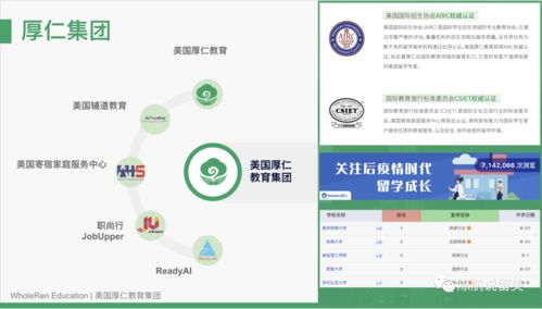 巴东办理POS机指南，全面解析与案例解读