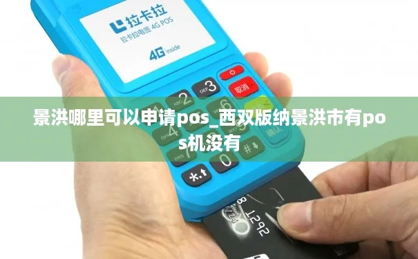 景洪地区POS机办理指南