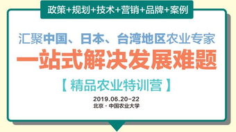 百安居白条套出来成功 百安居白条成功套现之路，经验与案例分享
