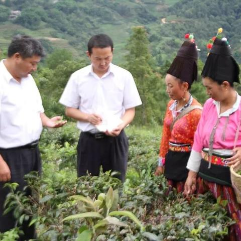 烟草公司申请云POS机指南