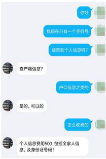 如何查开房记录 揭秘开房记录查询，方法与注意事项