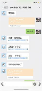查开房数据库下载 揭秘网络隐私泄露，查开房数据库下载行为分析