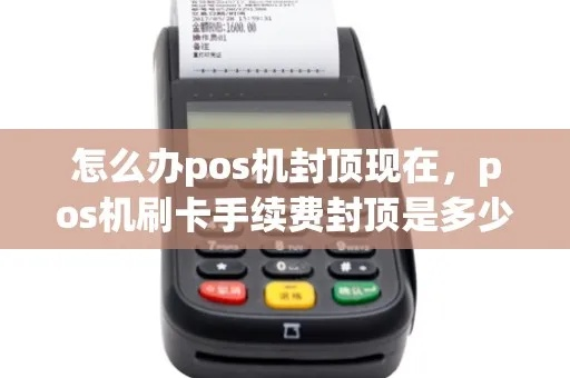 POS机办理全攻略，轻松掌握封顶机使用与管理