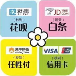 白条提现风控中 白条提现风控解析，理解其重要性及应对策略