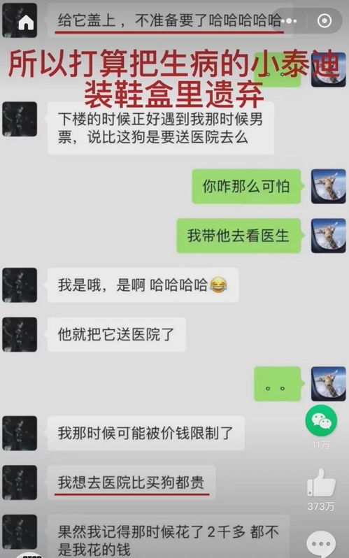 催收能查酒店记录吗 催收能否查酒店记录？揭秘背后的真相与细节