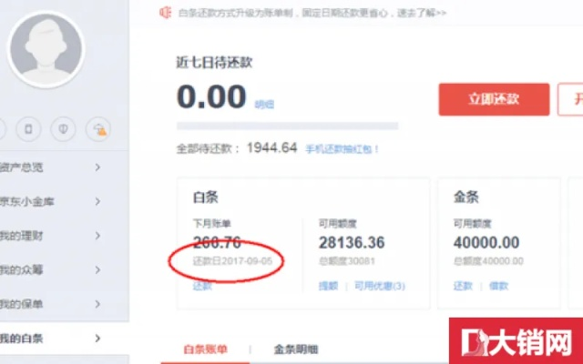 怎样提现白条金额大额度 怎样成功提现白条金额至大额度的实用指南